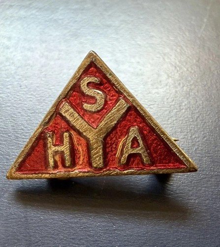Vintage syha enamel - vintage, pin